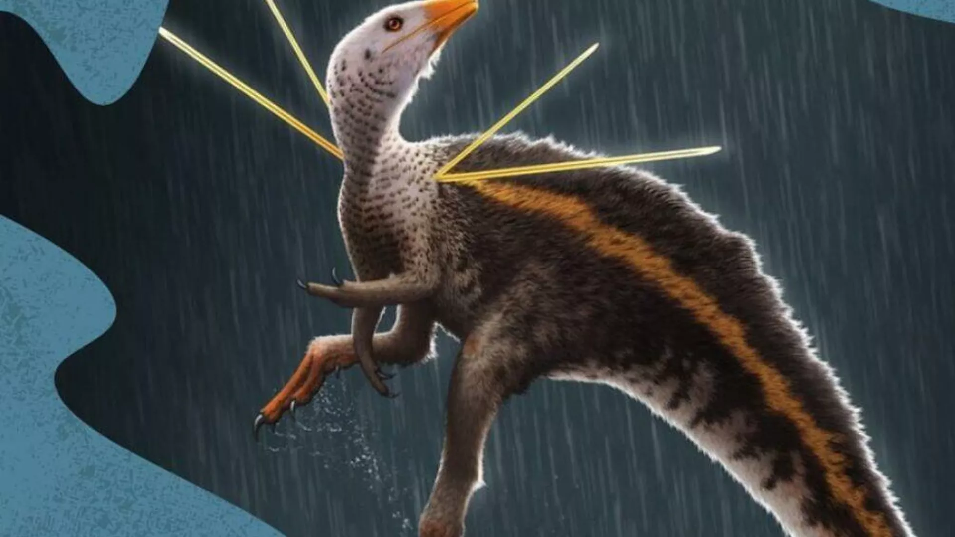 Brasil recupera fósil de dinosaurio emplumado de 115 millones de años