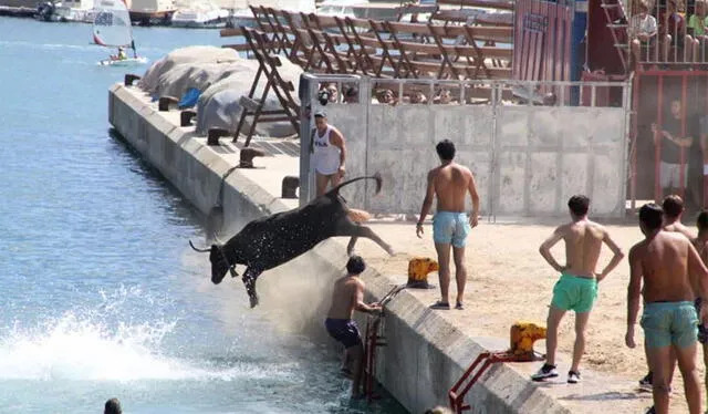 ¡Indignación! Toro murió ahogado durante festividad taurina cuando decenas de personas hicieron que cayera al agua (VIDEO)