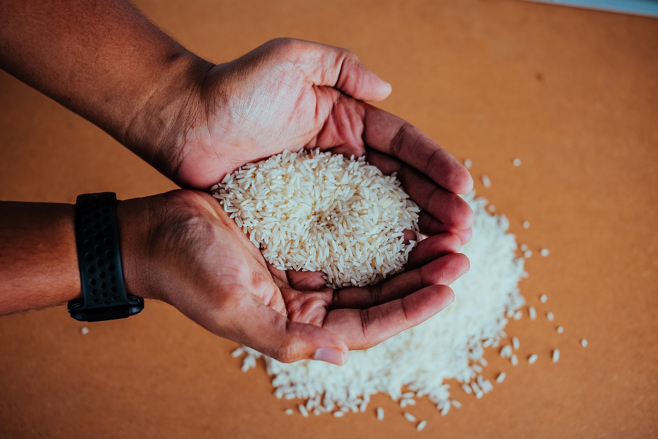 India prohibió exportación de arroz blanco por retraso en temporada de lluvias