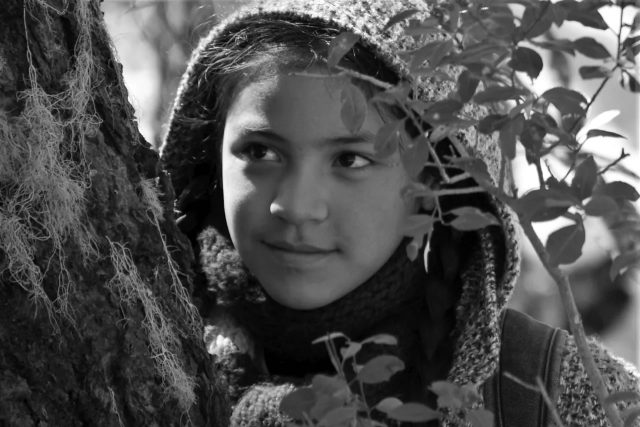 Una película poética e intercultural: «Cuentos de la tierra» llega a la Cineteca Nacional de Chile