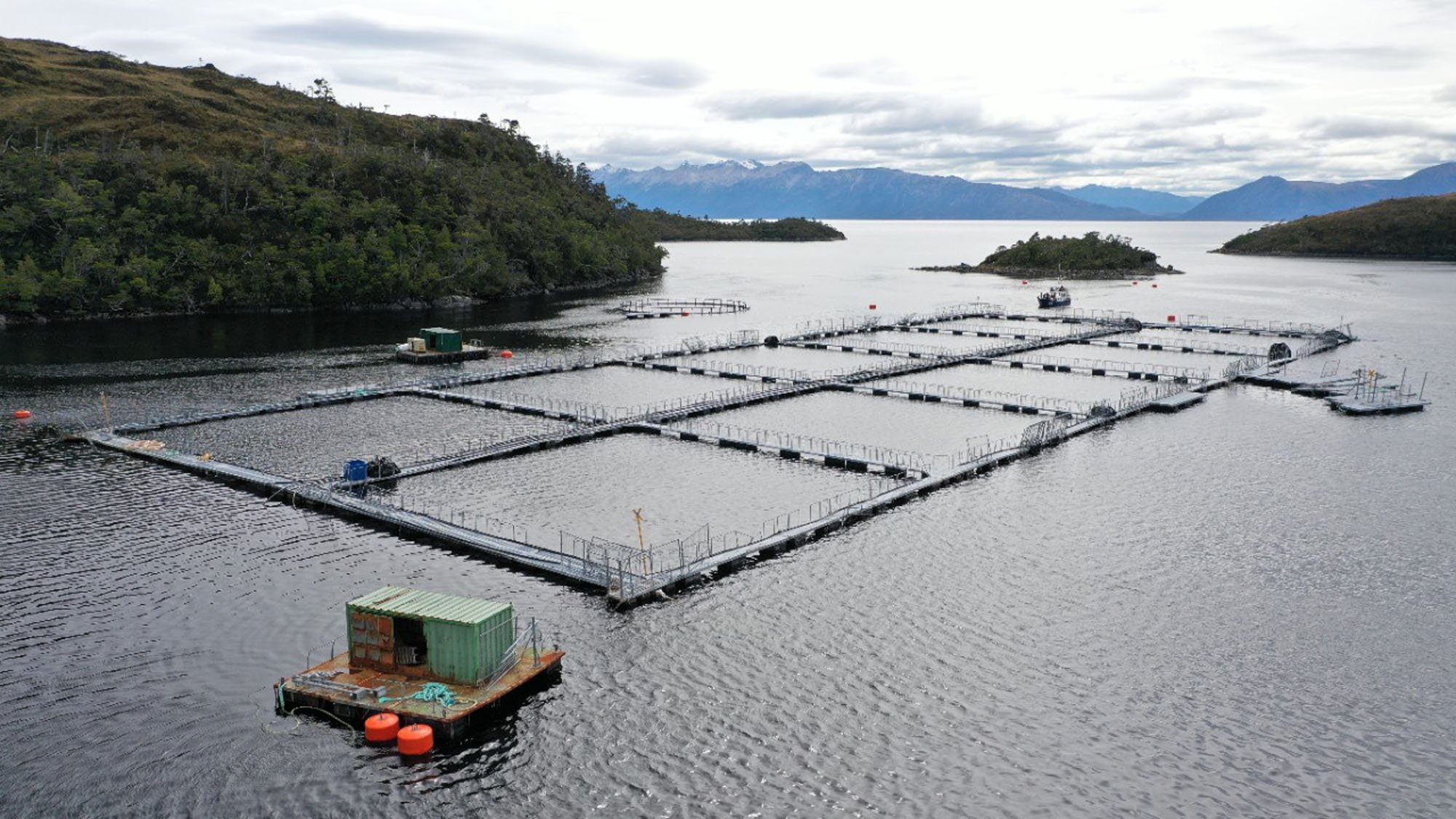 Triunfo de las comunidades: Tribunal Ambiental invalida permiso ambiental de centro de cultivo salmonero en Magallanes