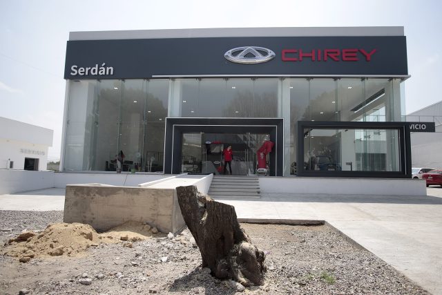 Exfuncionarios de Medio Ambiente comparecerán por tala de árboles en Puebla