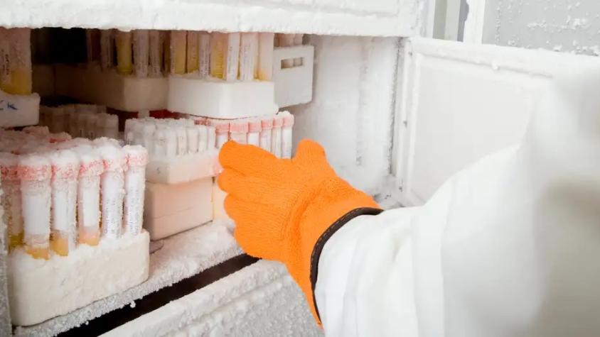 Trabajador de limpieza desenchufó congelador que contenía importantes muestras científicas: Arruinó investigación de 20 años