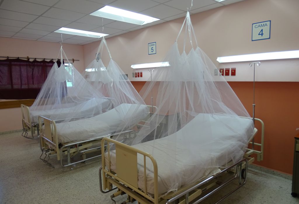 Argentina supera los 129 mil casos de dengue