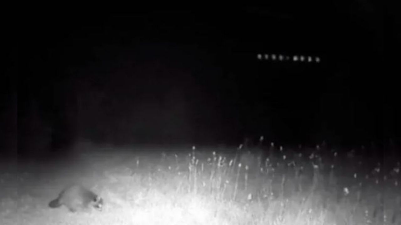 Live Cam Random