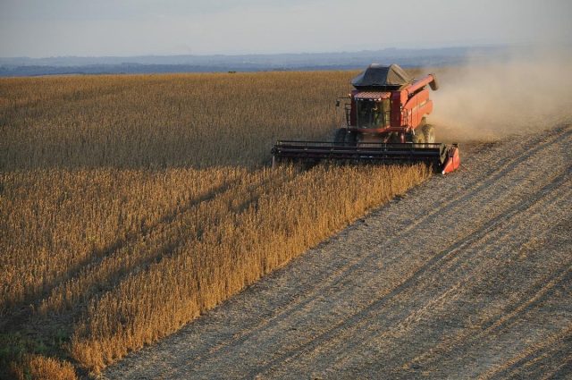 Suspende Rusia exportación de grano a través del Mar Negro
