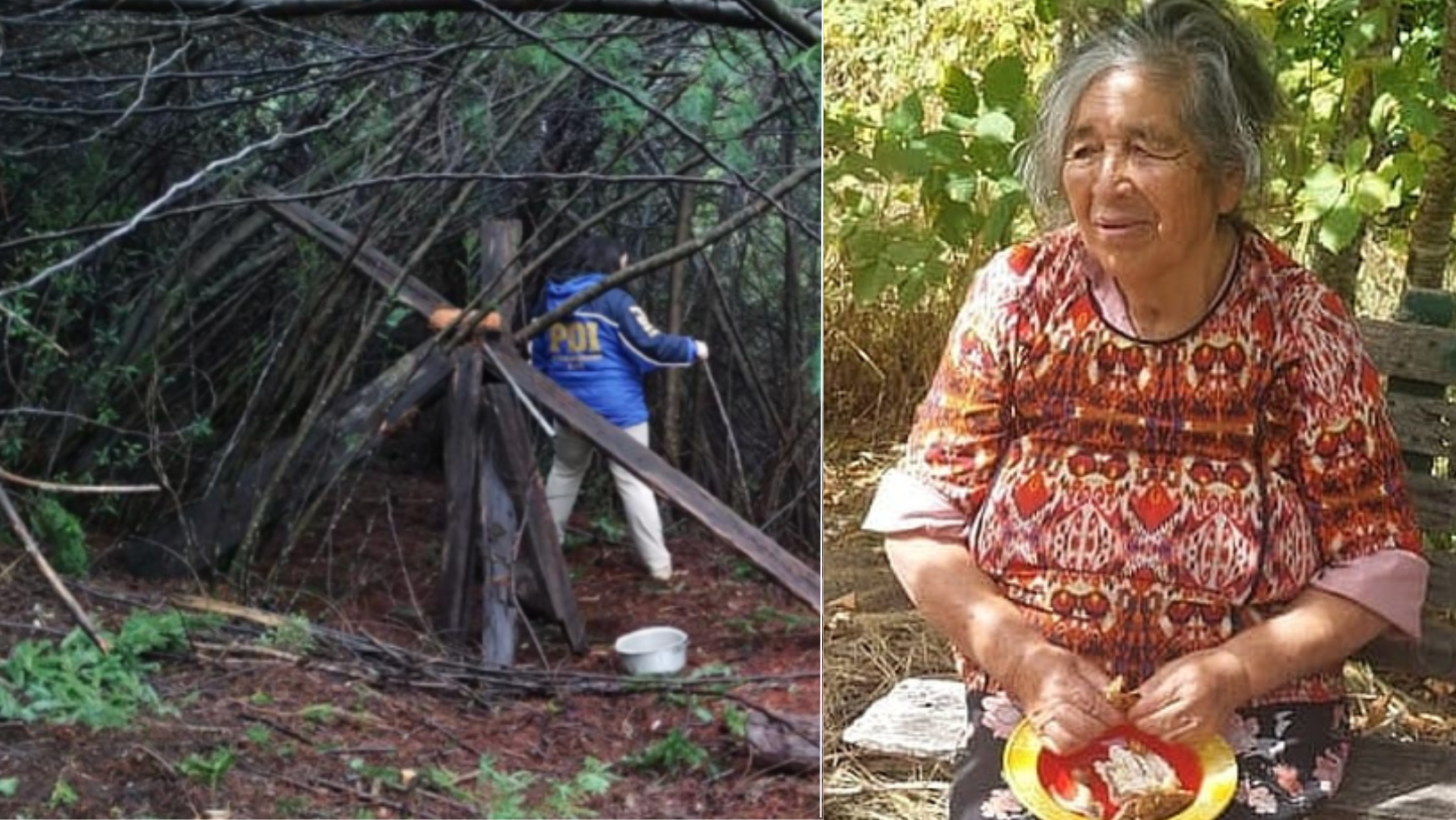Hallan restos humanos en Petrohué: Un puma habría atacado a anciana de 76 años desaparecida
