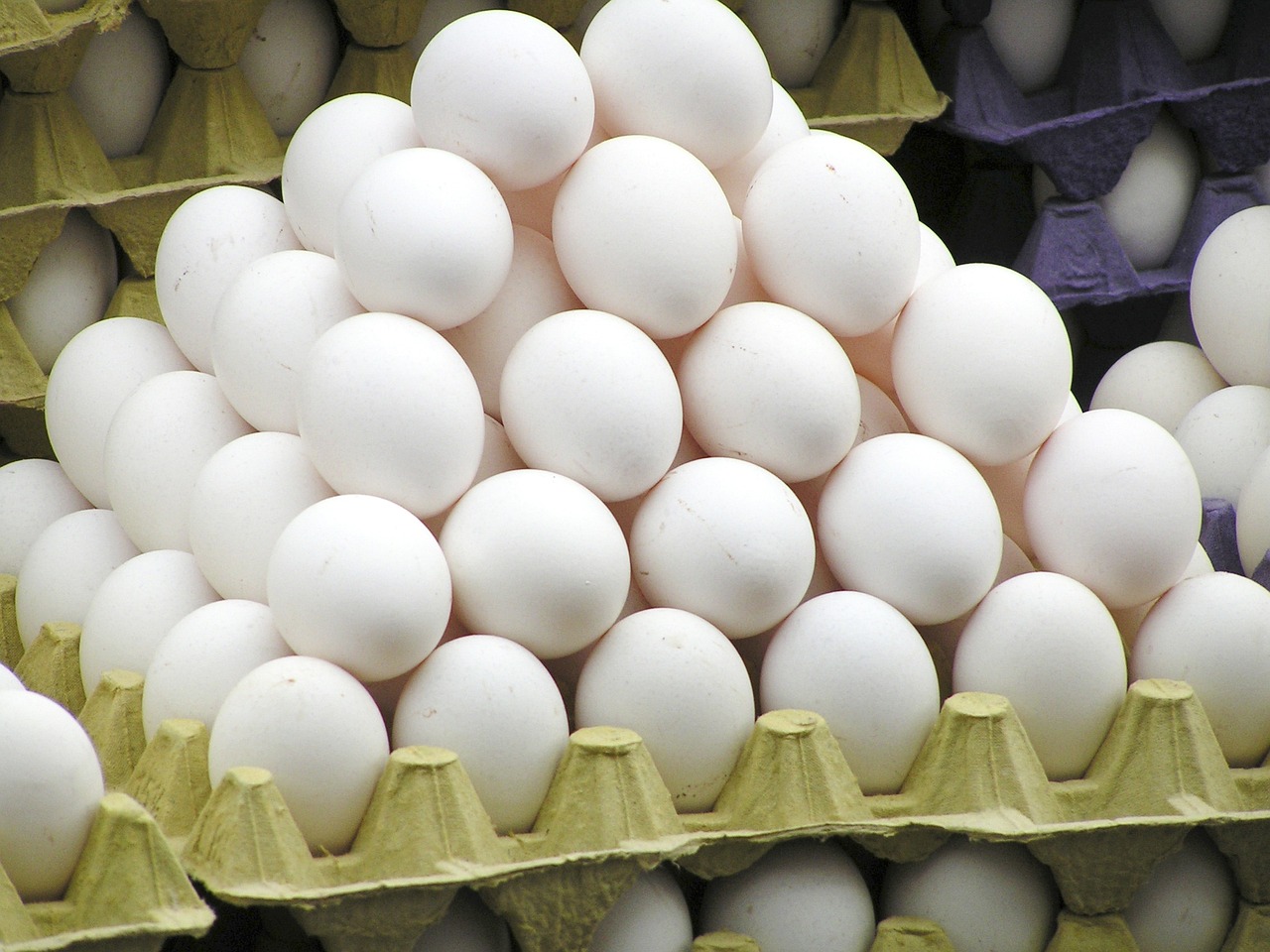 Pese a la gripe aviar, producción de huevos registró alza en mayo
