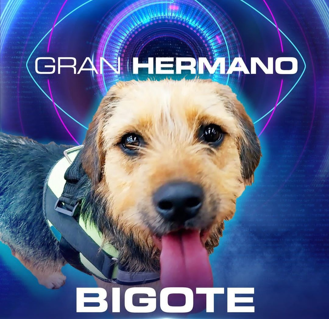 Gran Hermano