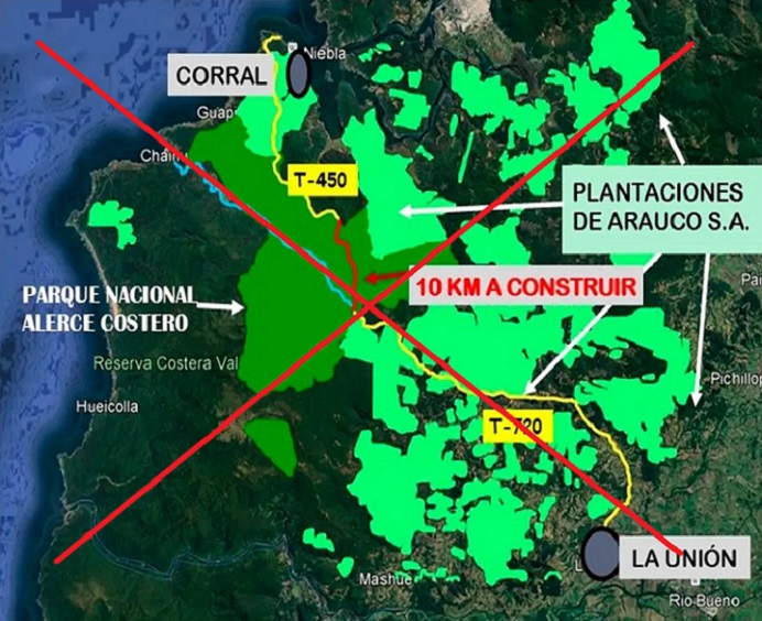 Sería desechado proyecto carretero en Región de los Ríos que atravesaba bosques de alerce y otras especies
