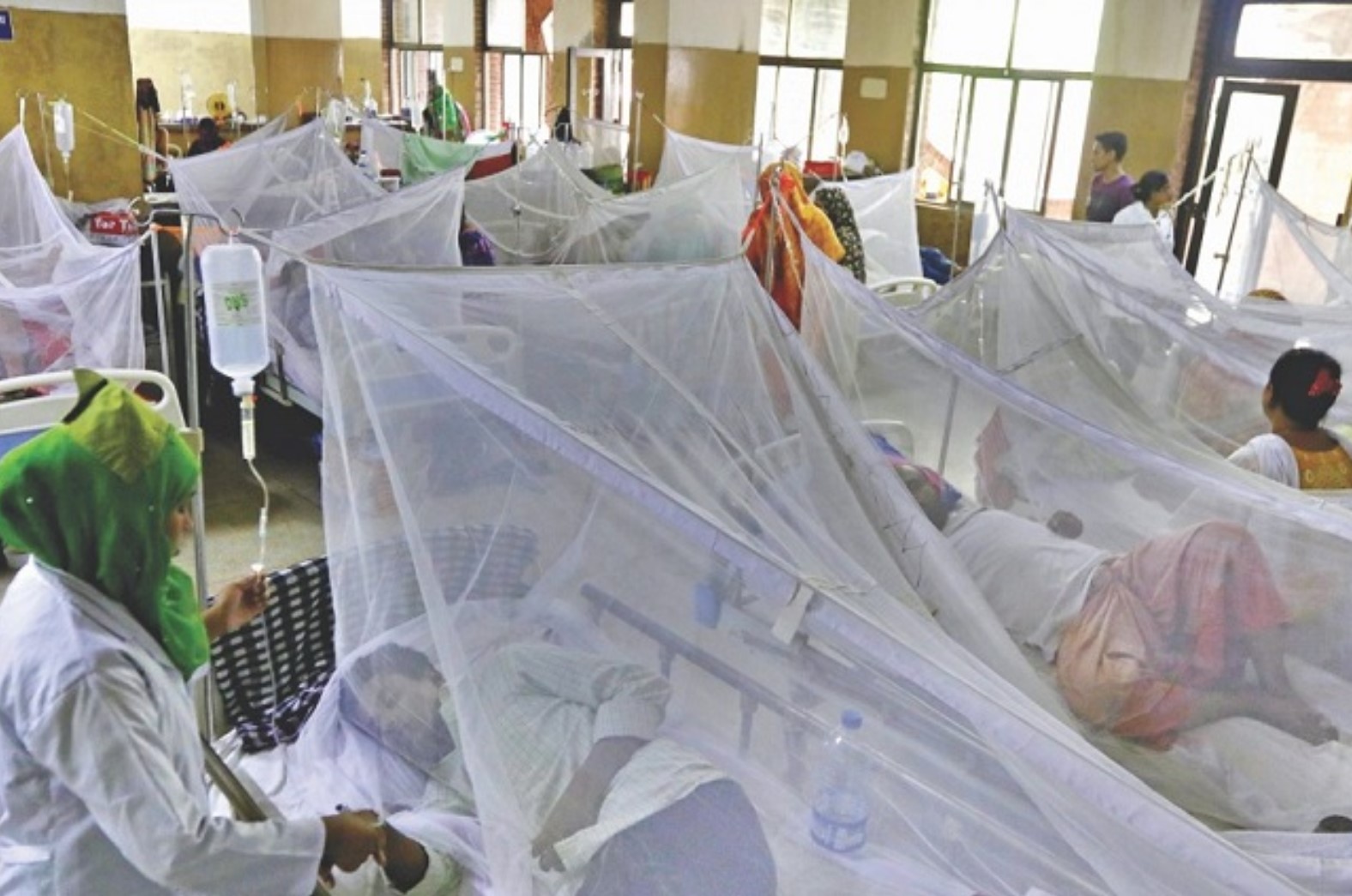 Julio suma 11 mil hospitalizados por dengue en Bangladesh