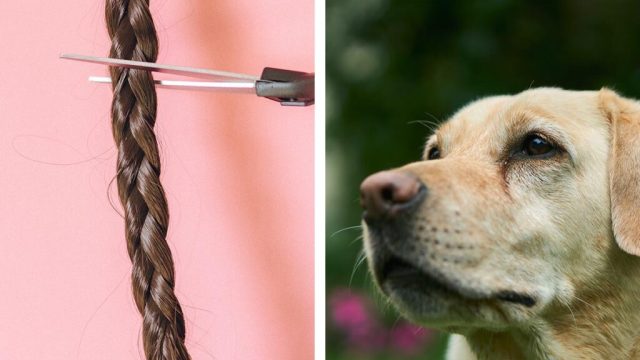 Mujer pone a la venta su cabello para pagar tratamiento de sus mascotas