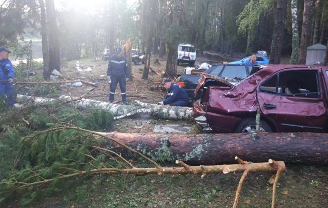 Ventarrón mata a siete personas en balneario ruso