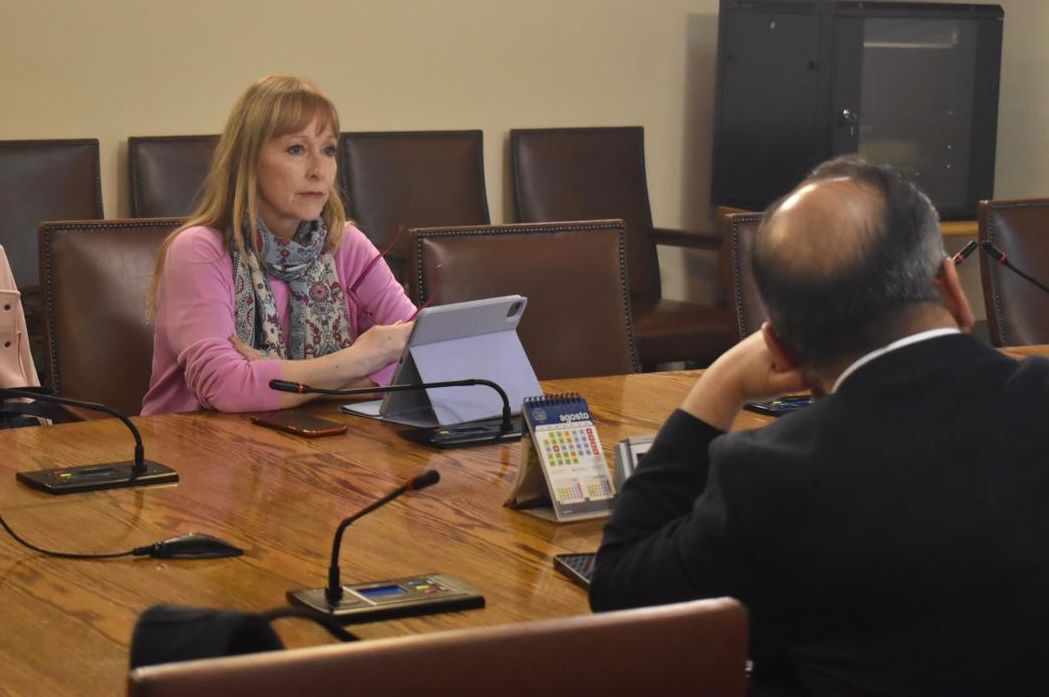 Diputada Ana María Gazmuri sobre caso Pinochet y Mejor Niñez: “Los antecedentes estuvieron a la vista por SENAME y no advirtieron de aquello al nuevo Servicio”