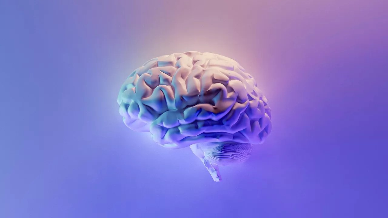 Nuevo estudio  demuestra  que el COVID-19  afecta la función cerebral años después de la infección