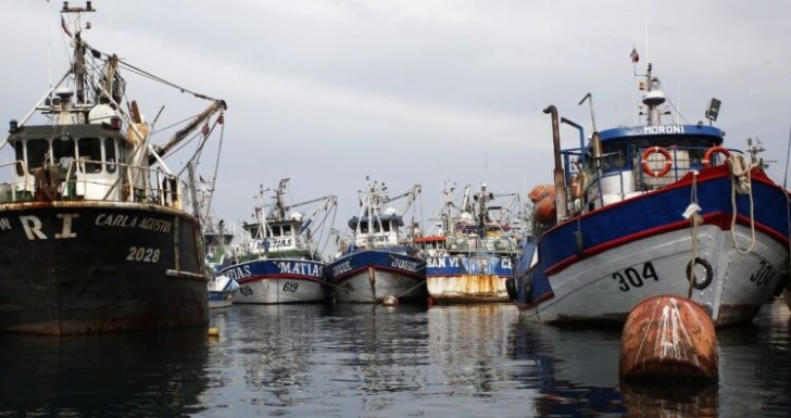 «No queremos letra chica»: sector pesquero exige detalles del proyecto de Ley de Pesca