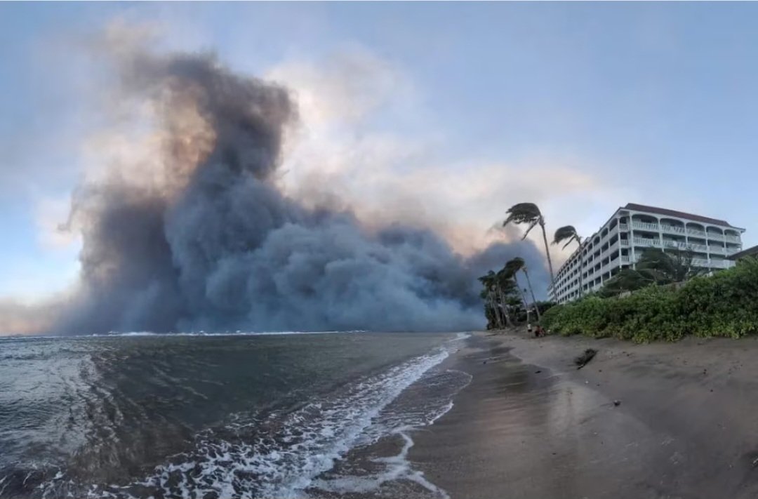 EEUU declara a Hawái zona de desastre grave por fuegos forestales
