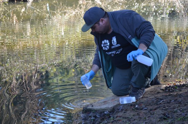 HUB Ambiental de la U. de Playa Ancha y municipio de Quilpué coordinan acciones para proteger los humedales de la comuna