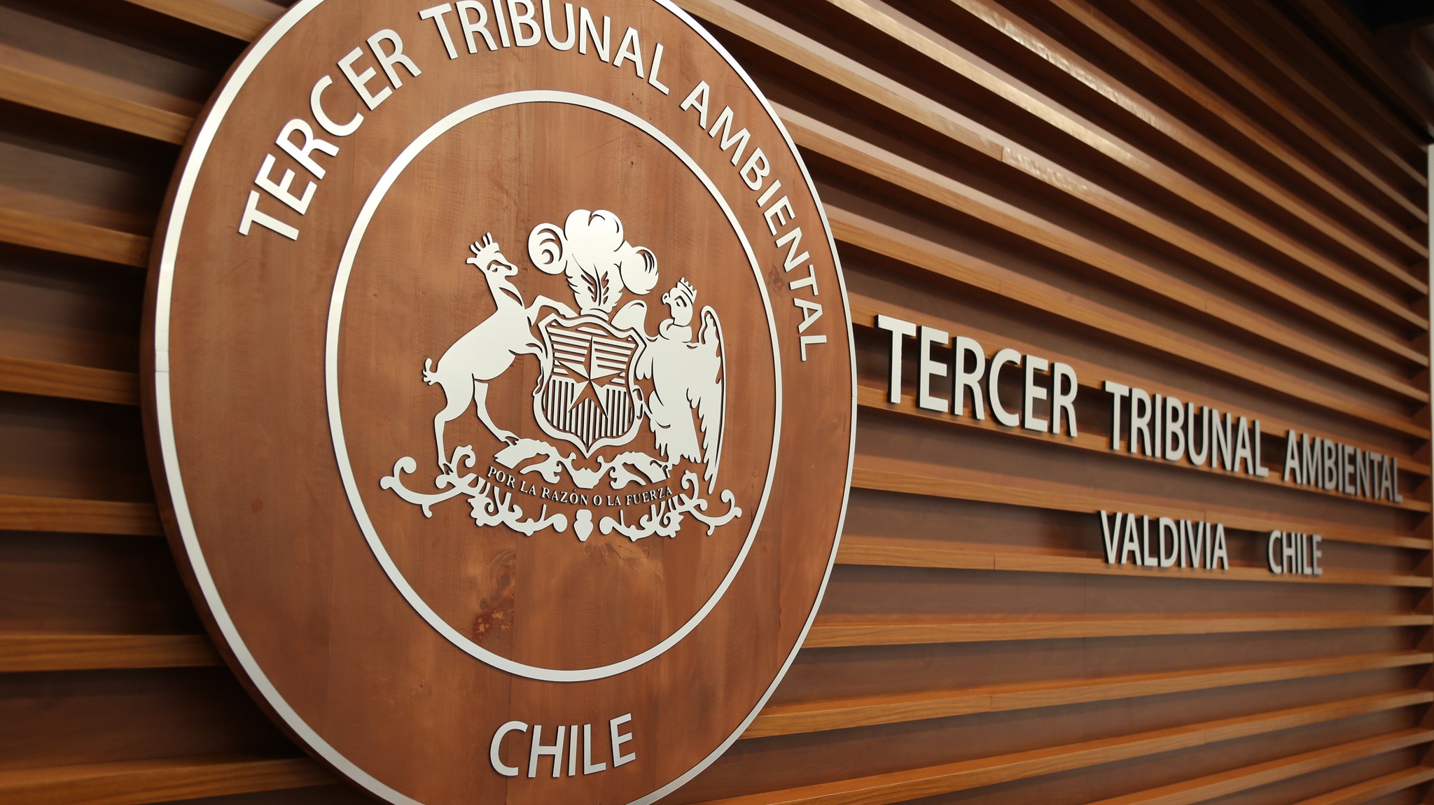 Tercer Tribunal Ambiental anuló aprobación de proyecto para instalar central hidroeléctrica en río Cautín