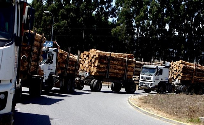 Justicia rechazó demanda por despido injustificado de 24 choferes de camiones forestales