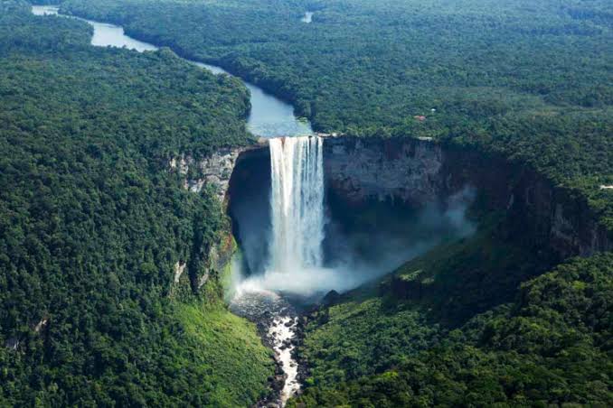Cumbre Amazónica busca preservar la selva más grande del mundo