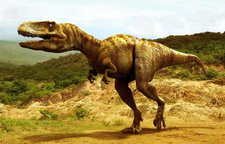 Investigadores de la Universidad de Chile confirman que los abelisaurus existieron en el país