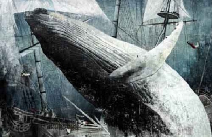 ¿Qué sabemos de Moby Dick?: La épica novela que está inspirada en una leyenda mapuche