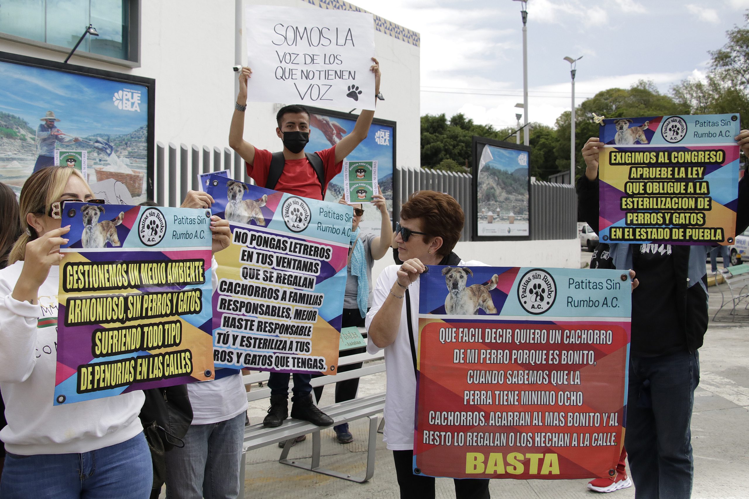 Al alza, denuncias por maltrato animal en Puebla capital