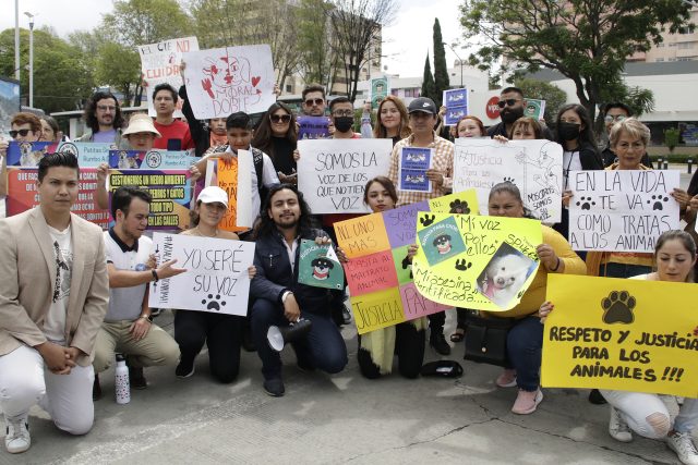 Colectivos marchan en Puebla, exigen alto al maltrato animal