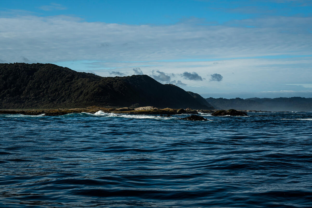 Publicación en EEUU destaca trabajo de comunidades williche por conservar la Isla Guafo, al sur de Chiloé