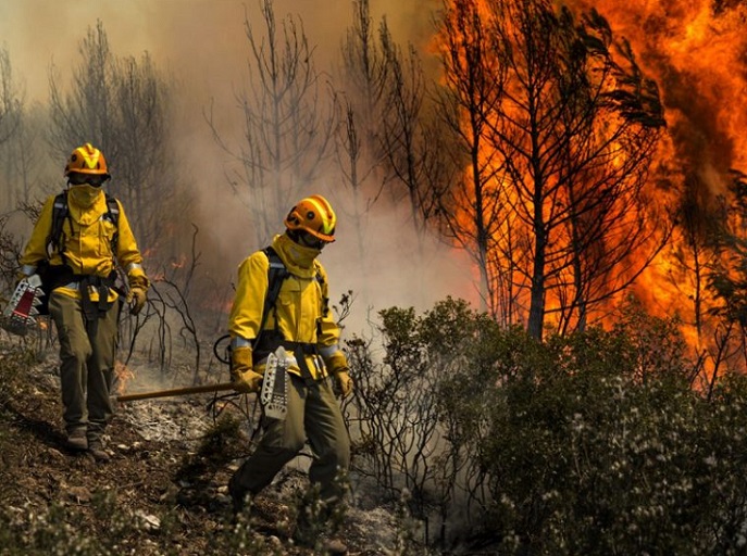 Incendios forestales: Gobierno confirma 115 medidas para enfrentar emergencias durante el verano