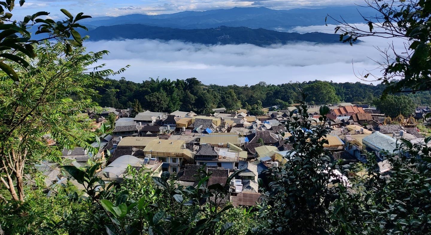 Bosques chinos de té son Patrimonio de la Humanidad