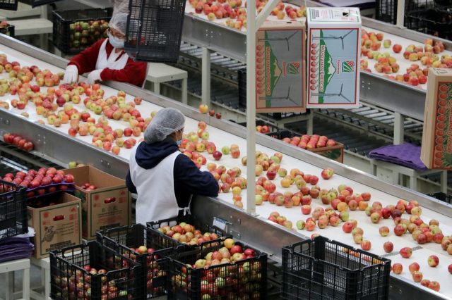 Puebla tiene mejor primer semestre en exportaciones: Economía