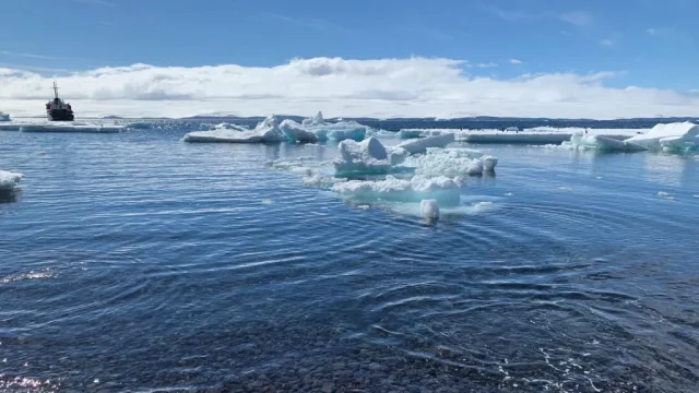 Hielo antártico alcanza su menor extensión en 40 años