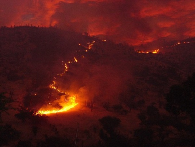 Concepción: Empresa eléctrica CGE deberá pagar más de 100 millones por responsabilidad en incendio forestal de zona rural