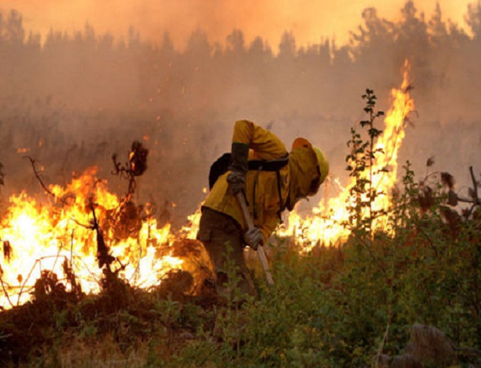 Director de CONAF anuncia un nuevo modelo forestal para enfrentar los incendios