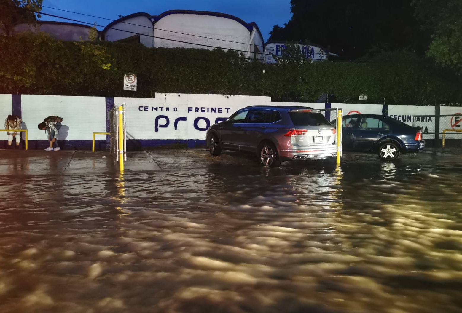 Tromba tira dos árboles en bulevar Xonacatepec