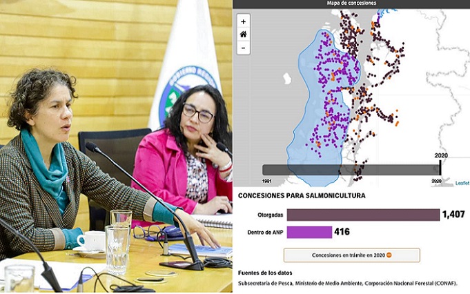 Conflicto salmonero en Aysén: Organizaciones denuncian que sectores de la industria buscan “torpedear” nuevo intento de regular concesiones en áreas protegidas.