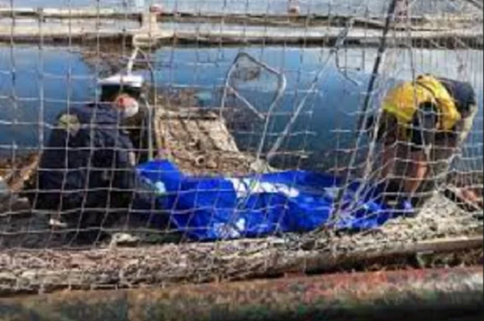 Salmones de sangre: 77 trabajadores de la industria salmonera han muerto en accidentes laborales según reporte de Ecoceanos