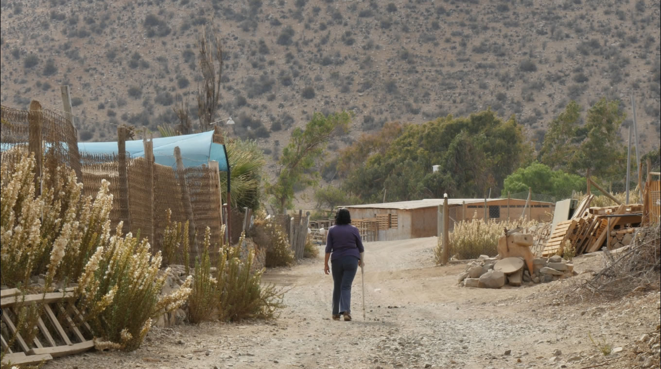 Crisis hídrica en Chile: Especialistas advierten compleja situación para la Región de Coquimbo