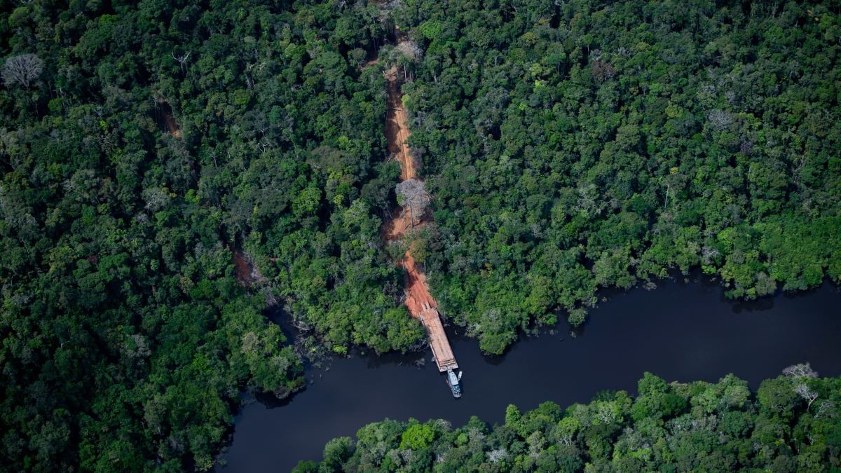 En un año, deforestación cae 59 por ciento en la Amazonia brasileña