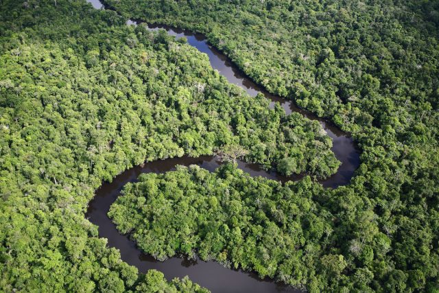 Nuevos informes revelan aumento devastador de la deforestación mundial: Advierten impactos catastróficos para la humanidad