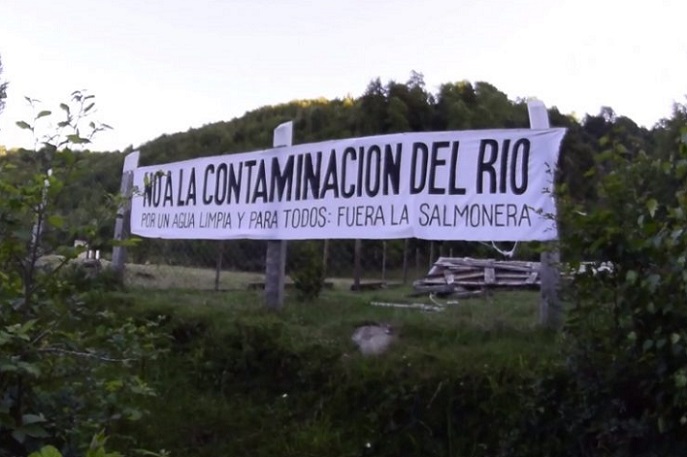 Chesque, la comunidad mapuche de Villarrica que defiende el río de la contaminación salmonera