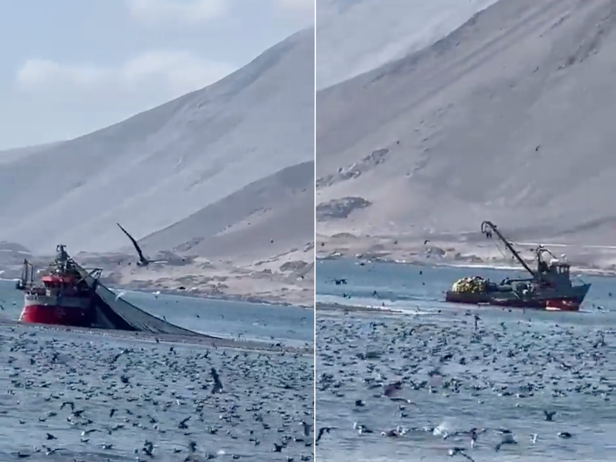 Actuar ilegal: Captan a barcos industriales realizando pesca de arrastre a orillas de una playa de Iquique