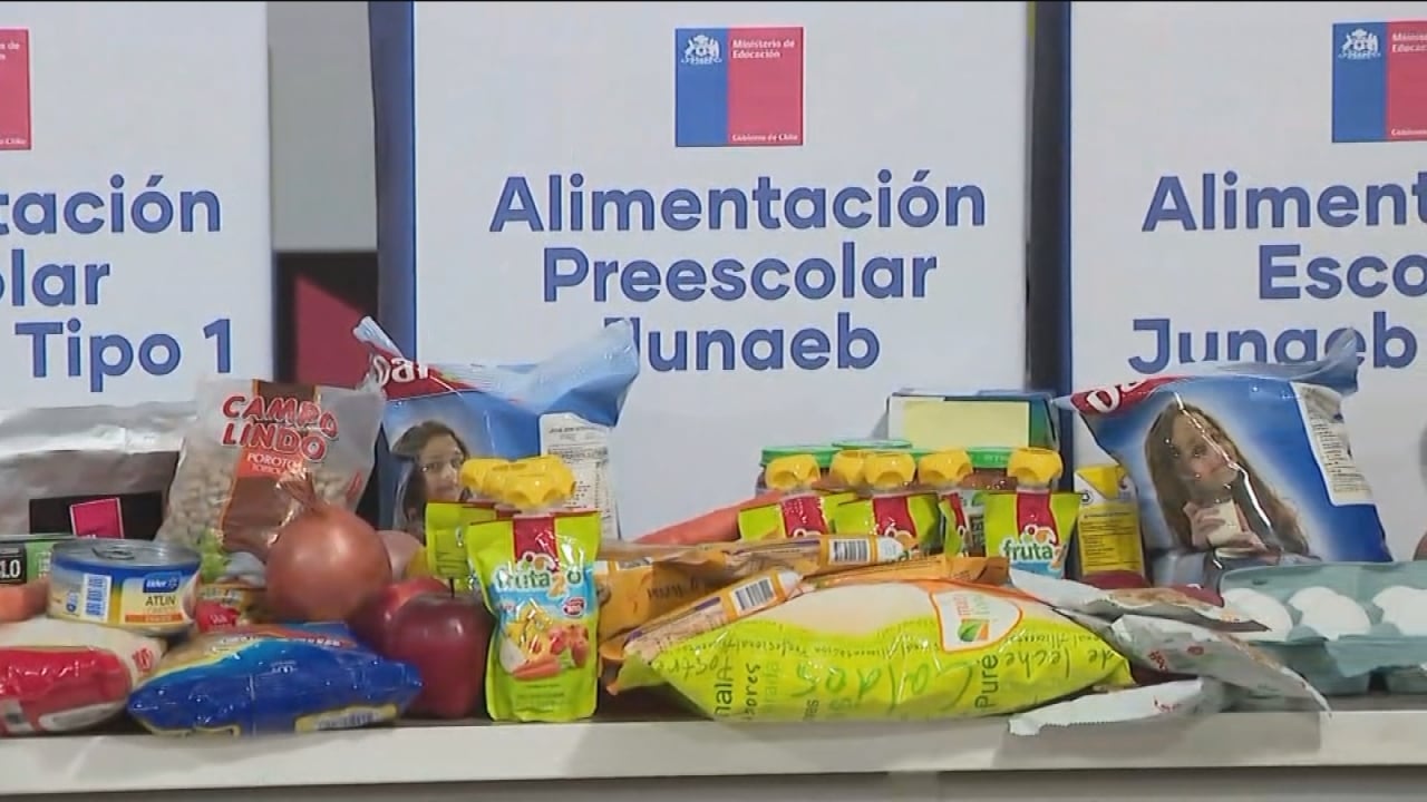 Exseremi de Educación se robó 22 cajas de alimentos Junaeb para venderlos en un local comercial: Fue condenada por malversación de caudales públicos