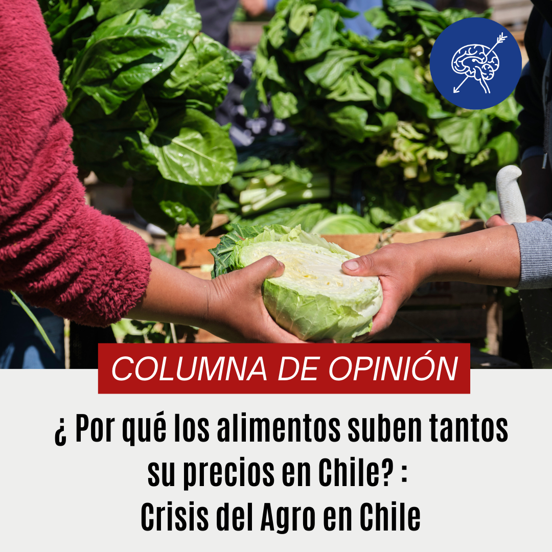 ¿ Por qué los alimentos suben tantos su precios en Chile? : Crisis del Agro en Chile