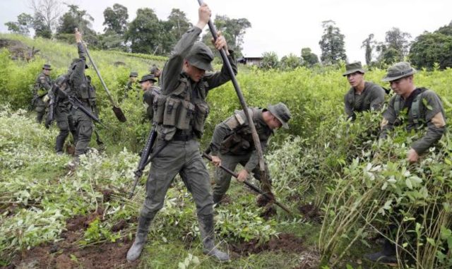 Narcotráfico, problema global: presidente de la Cámara colombiana