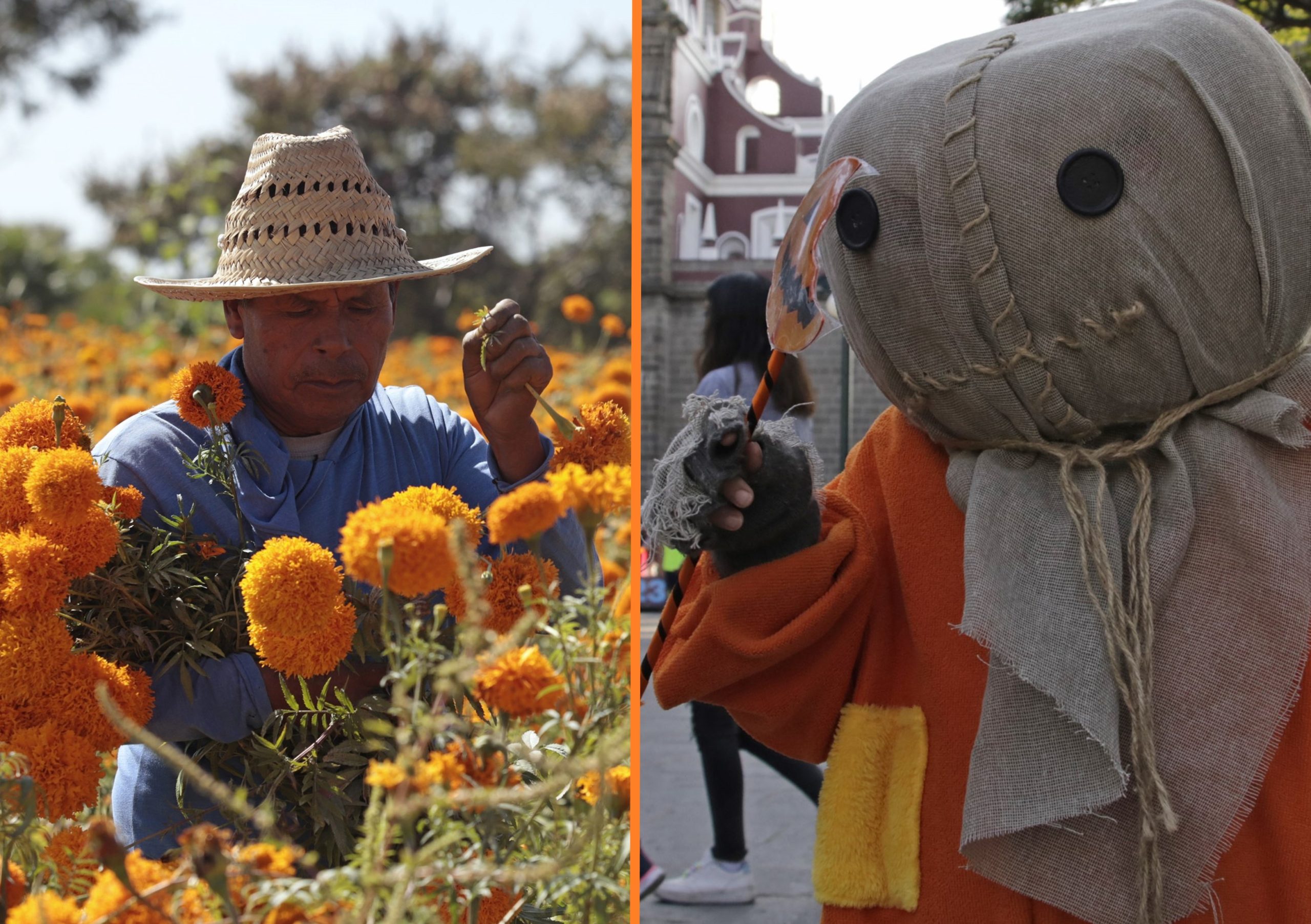 Día de Muertos y Halloween ¡viven! en el Centro de Puebla