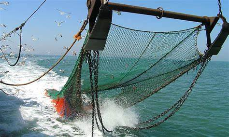 Merluceros de Tomé protestan frente a Sernapesca en Talcahuano por el “nulo control de la pesca de arrastre”