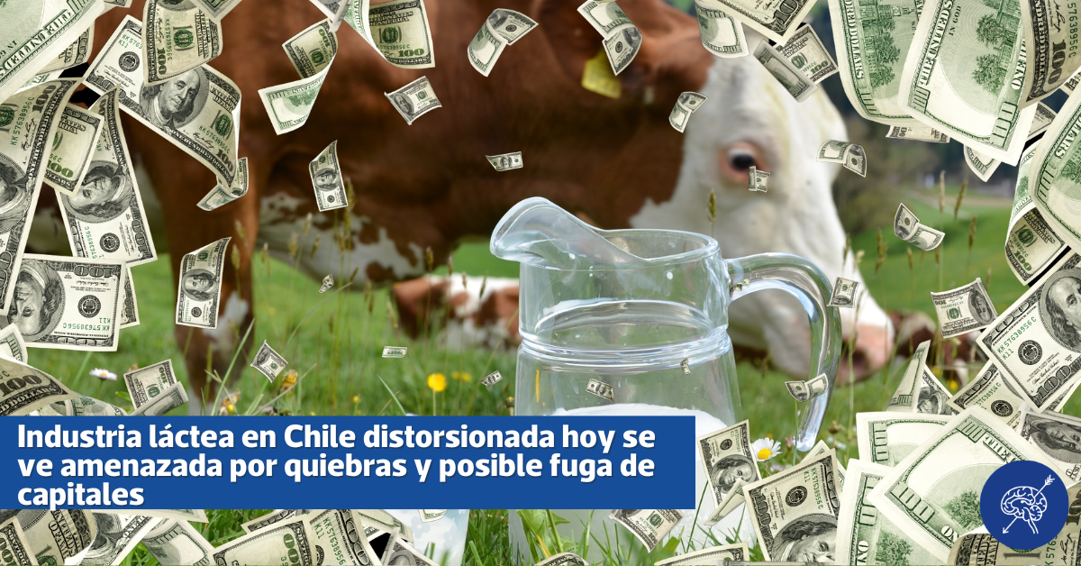 Industria láctea en Chile distorsionada hoy se ve amenazada por quiebras y posible fuga de capitales
